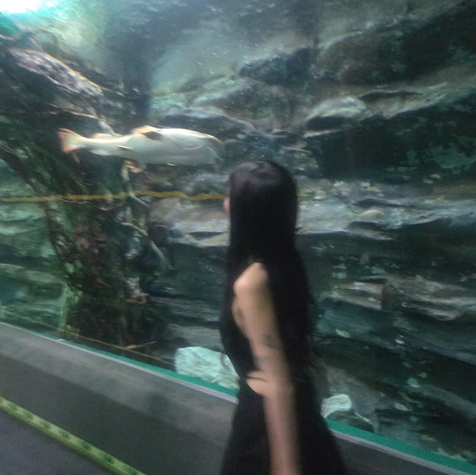 숑숑잉2